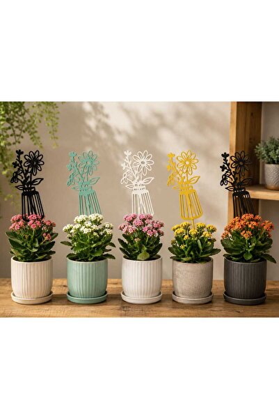Home Top Bottom Set of 5 Decorative Spikes for Pots and Garden – Metal