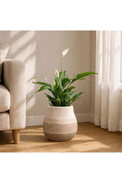 PAN HOME Julie Stoneware Organic Striped Desert Planter 22x22x22cm - Brown