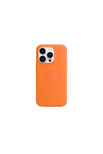 OEM Husa compatibila iPhone 12 Pro Max