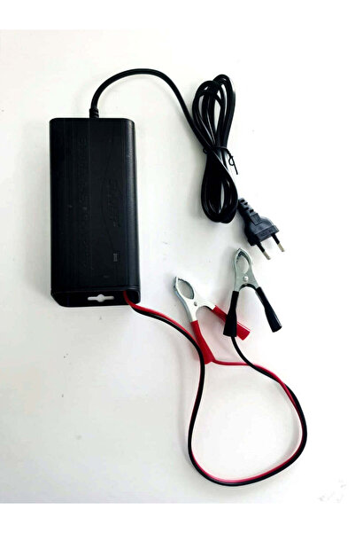 Generic Smart fast battery charger 12V 3a
