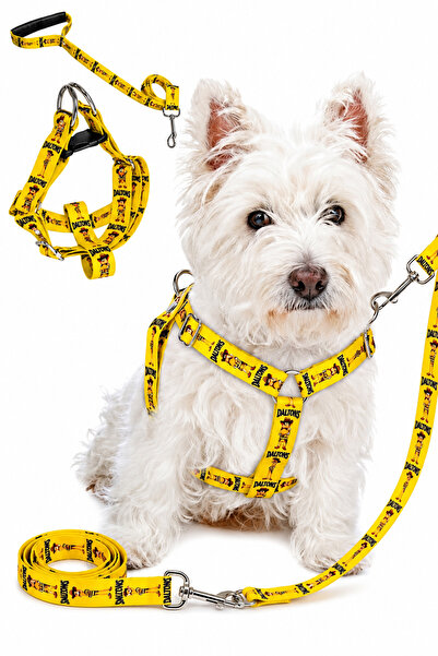 Angelapets Dog Chest Harness and Walking Strap Set