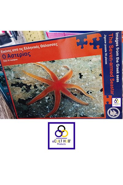 eCult Hub eC Puzzle Sealife 4 - ΠΑΖΛ: Θαλάσσια Ζωή - Αστερίας (Luidia ciliaris)