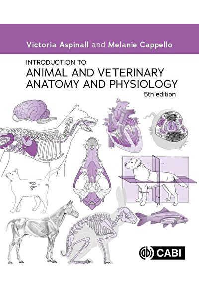 Marston Book Services Ltd Introduction To Animal And Veterinary Anatomy And P...