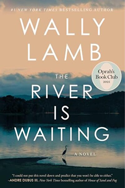 Gallery Books The River Is Waiting: A Novel