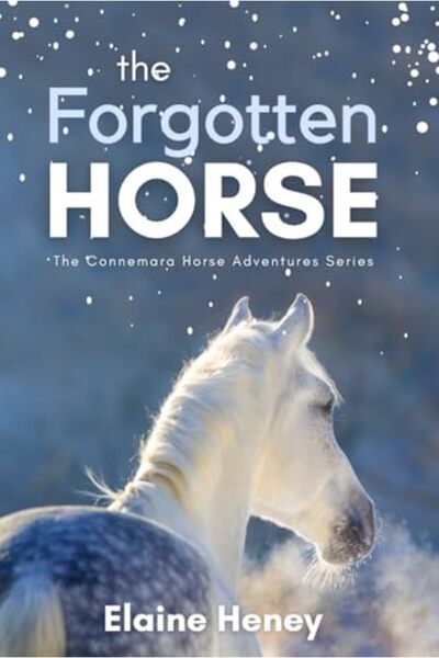 Ingram The Forgotten Horse Book 1 In The Connemara Horse Adventure Series For...