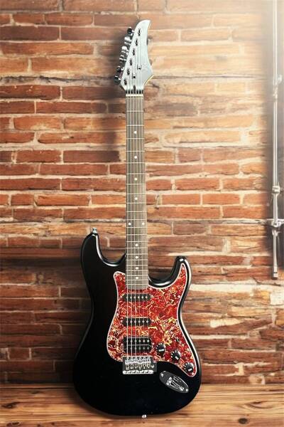 BANDERAS Elektro Gitar Kılıf Askı Kapo Pena Kablo