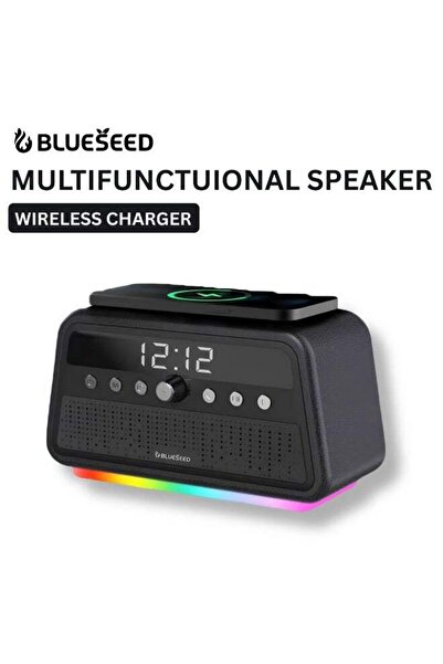 blueseed مكبر صوت كاريوكي متعدد الوظائف BS-402، مكبر صوت بلوتوث لاسلكي بقوة 6...