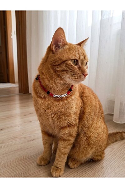 D'Kuhçien Cat Collar with Tiger Lettering, Cat Necklace, Dog Necklace, Cat Ch...