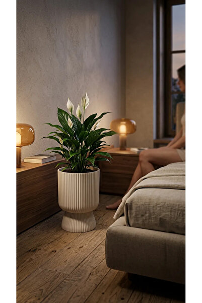 KıtayGroup Lotus Vazo Ayaklı Dekoratif İç Ve Dış Mekan Saksı 10 LT