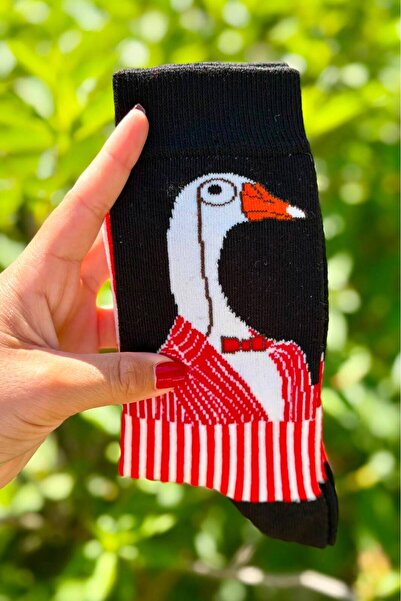 LouSocks جوارب بتصميم كاز للجنسين
