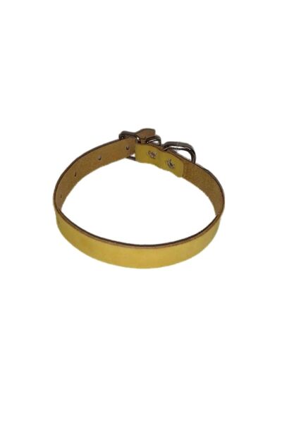 LOVEPET Δερμάτινο Κολάρο Μπεζ 2.5x49εκ.