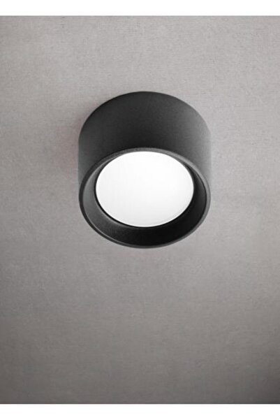 FUMAGALLİ Plafonieră Livia 10W 3000K-6500K IP55, negru, Fumagalli, FUMAGALLİ,...