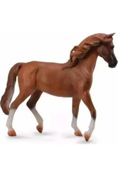 Collecta Mare arabă Masci Castană