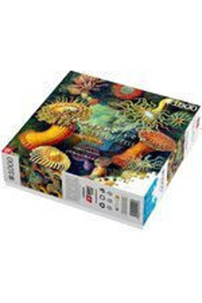 Good Loot Ernst Haeckel: Puzzle cu creaturi marine 2D 1000 piese