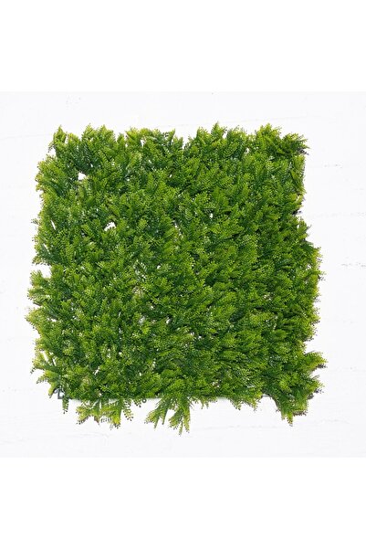 SUPERGREENS Τεχνητή Φυλλωσιά Φτέρη Maidenhair 50x50 εκ