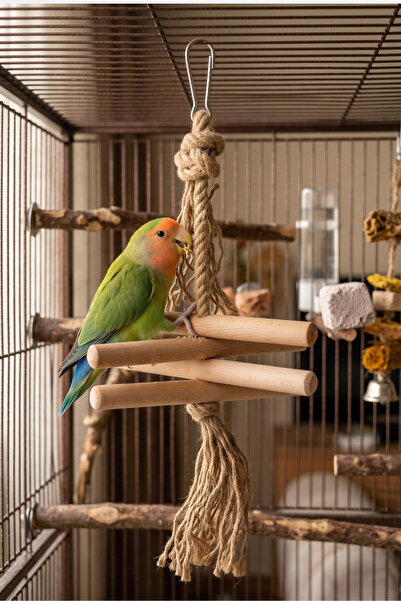 Mivra Pets Papağan Stres Oyuncağı Doğal Ahşap Kemirme ve Parçalama Kuş Oyuncağı