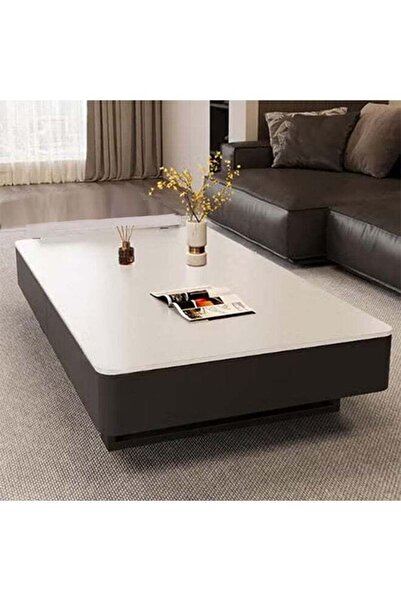KEKE Coffee Table Living Room Home Simple Style Light Luxury White Slate + Bl...