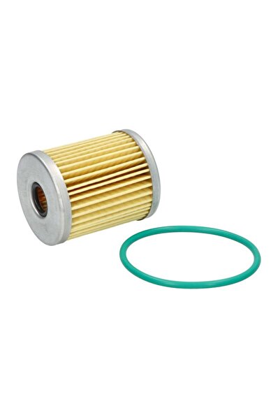 PARSUN Filtru Combustibil F40-07010000EFI-1