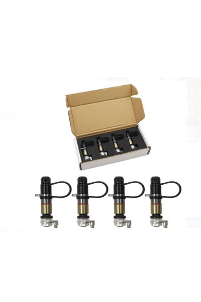 Generic Tire Deflator Valves