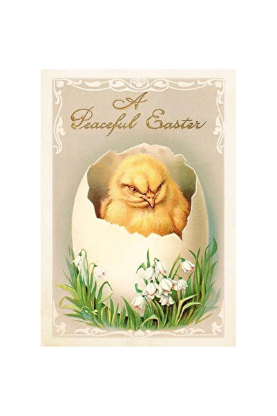 Skona Ting Felicitare de Paste / Card Pui B6, cu plic, ilustratie vintage, mu...