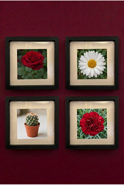 Hometaş Ev Ürünleri 4 ADET 14X14 SİYAH SÖK TAK RESİM ÇERÇEVESİ