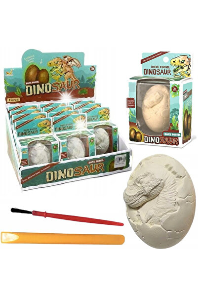 Nobo Kids Ou Gigant Schelet Fosile de Dinozaur Excavări Micul Arheolog 12 bucăți