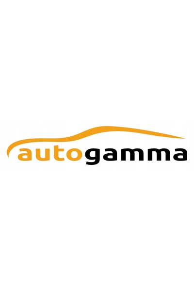 NO BRAND Primer adeziv pentru geamuri auto, 250ml