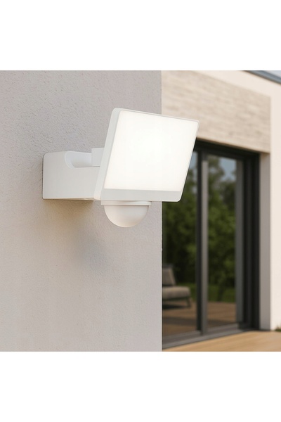 Eko-Light Sp. z o.o. ECOLIGHT Proiector LED Davos 30 W, 2000 lm, 4000 K, alb ...