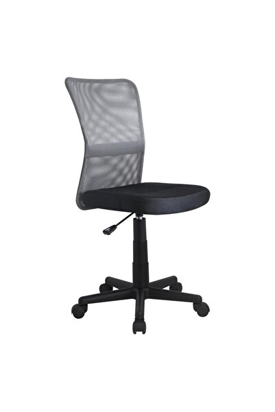 OEM Scaun birou copii HM Dingo, Ergonomic, Cadru Polipropilena, Mesh, Inaltim...