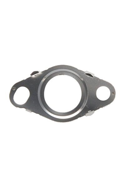 ELRING Garnitura, Ventil Agr Man Tge Gaz Gazelle Next Gazelle Nn Vw Amarok Ca...