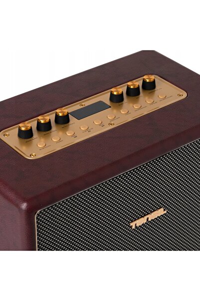 Tonsil Boxă portabilă Magna 100W Roșu Bordeaux