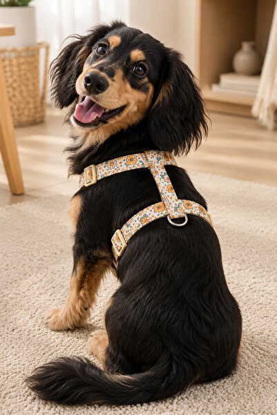 GOBYPET Köpekler İçin Dayanıklı Ve Güvenli, Desenli H Tipi Göğüs Tasması ( 20...