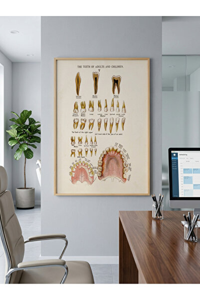 Creatick Design Diş Kliniği Ham Ahşap Çerçeveli Tablo Serisi | Diş Hekimi Kli...