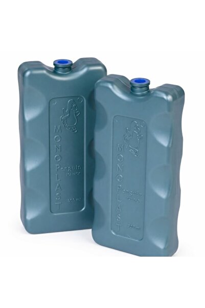 SHOPIENS Set de 2 pachete de gheață reutilizabile, gri, de 500ml, pentru gean...