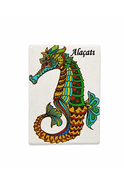 maagnet