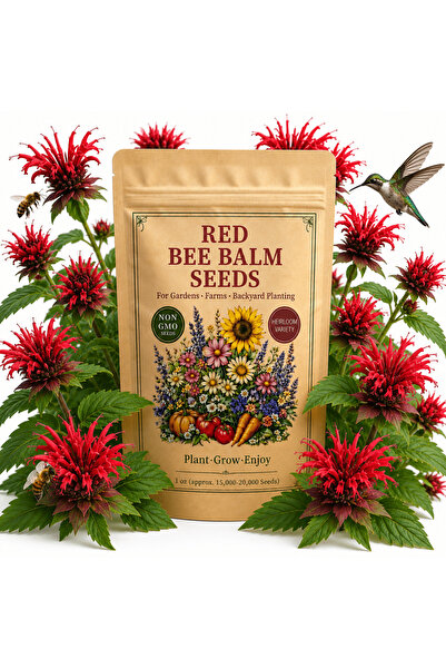 Bloom & Sow Seed 100 بذرة من زهرة النحل الحمراء (موناردا) - بذور زهور حدائق ز...