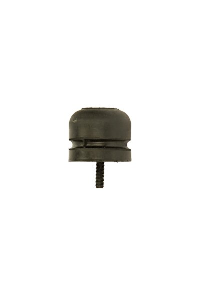 STR Element Rabatare Cabina (tampon Diametru 55mm Lungime 45mm M8x1,25) Scani...