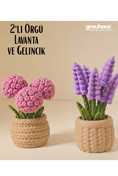 GRAUHAUS 2'li Set Dekoratif Örgü Saksılı Lavanta ve Gelincik