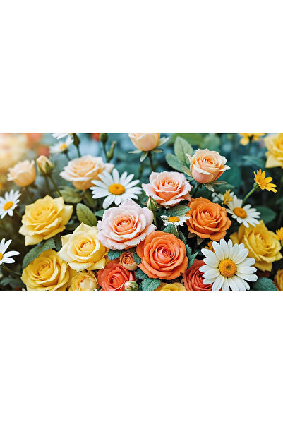 Bloom & Sow Seed بذور مزيج الورد الأصفر المشمشي والبرتقالي والليوكانثيموم، سه...