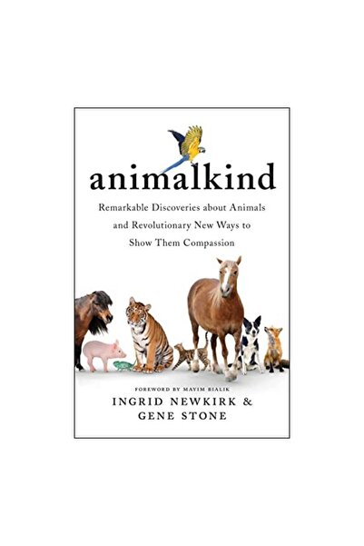 Generic (Unbranded) Lumea animalelor: Descoperiri remarcabile despre animale ...