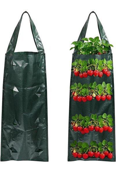 STARSTAR Strawberry, Tomato, and Vanilla Hanging Planter Bags - 8-hole Vertic...