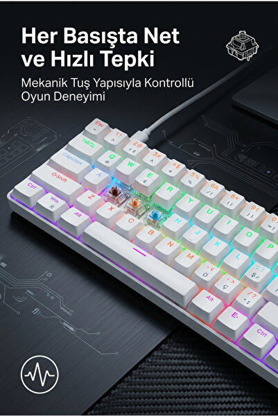 omitech 62 Tuş Mekanik Gaming Klavye 12 Mod RGB Aydınlatmalı Türkçe Q Kablolu Kompakt Beyaz
