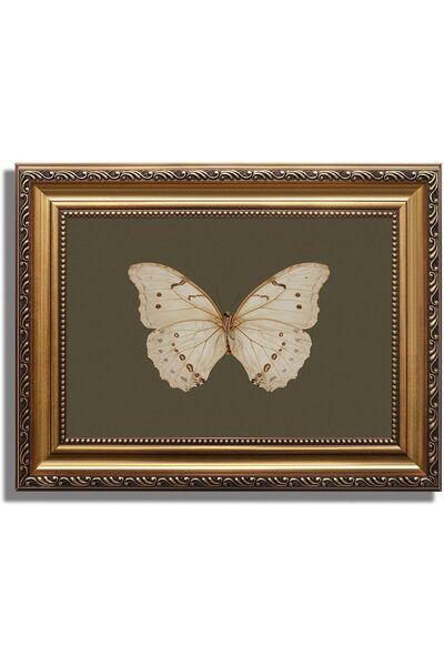 ALAYRA International Gold Framed Vintage White Butterfly Canvas Wall Art (60x...