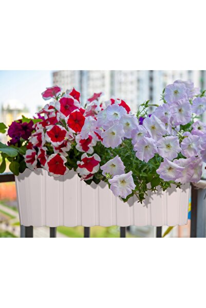 Deco4Home SET 3X JARDINIERE SUSPENSĂ PENTRU BALCON ȘI RECORȚI ALBE