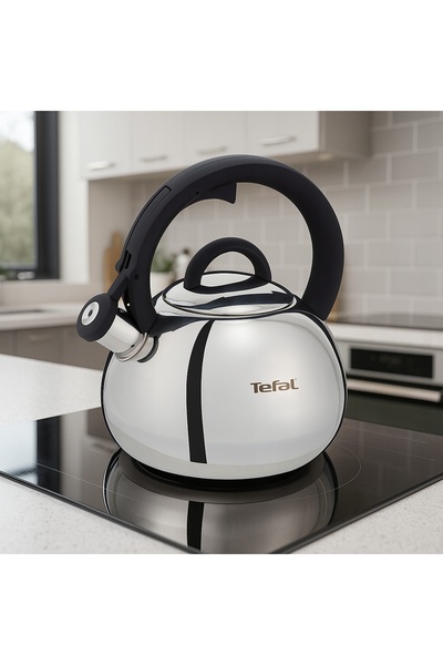 TEFAL Ceainic tradițional din oțel N4180310 cu fluier pentru gaz și inducție