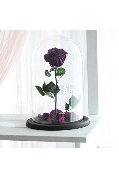 Trandafir Criogenat Trandafir violet criogenizat în cupolă XL