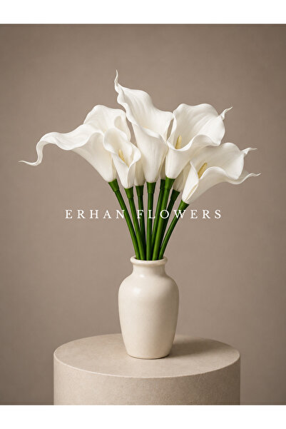 ERHAN FLOWERS YAPAY ISLAK DOKU GALA 35CM BEYAZ (SAKSISIZ)