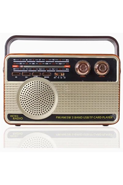 Generic DLC Portable Bluetooth Radio
