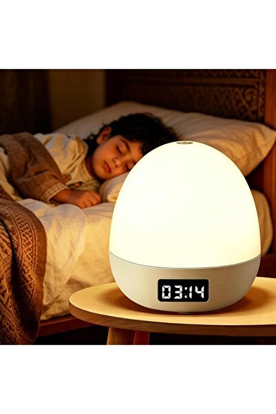 GENERAL Rechargeable LED Night Light, Dimmable Bedside Table Lamp with Touch ...