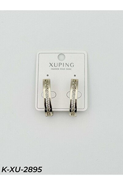Bozhi Earrings Sparkling Style Meaningful for Special Occasions Suitable for ...